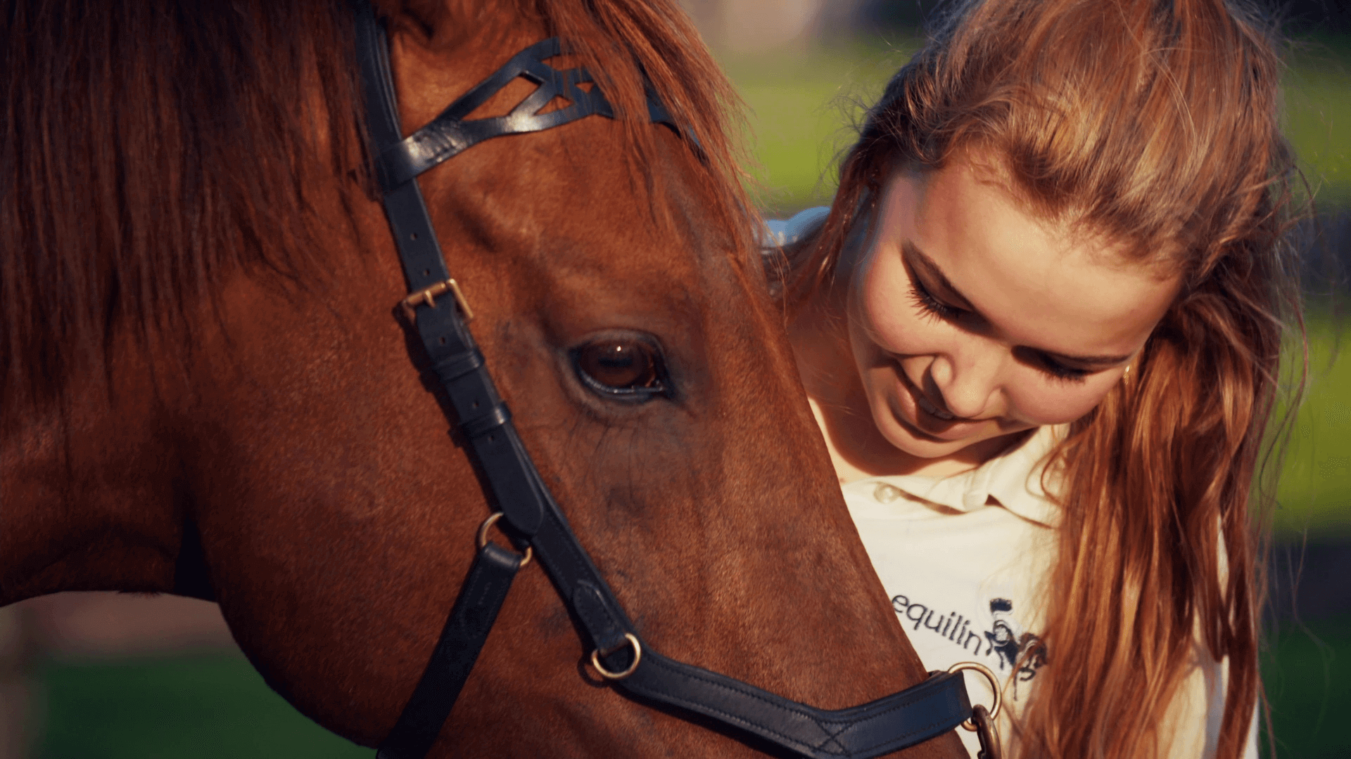 paardenvoeding kopen bij Equilin - het nieuwe voeren